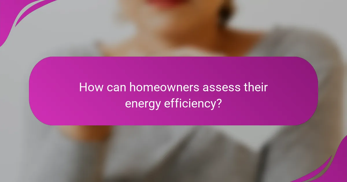 How can homeowners assess their energy efficiency?