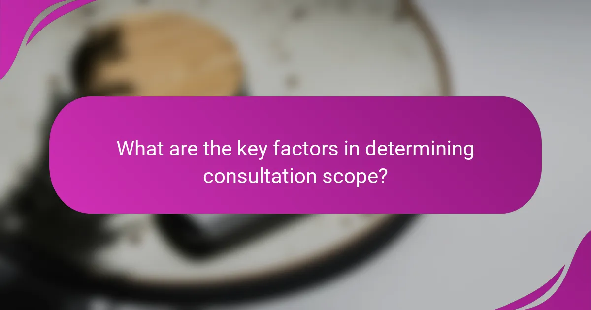 What are the key factors in determining consultation scope?